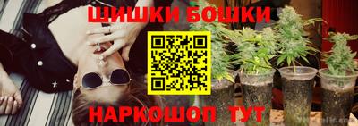 прущие крисы Бийск