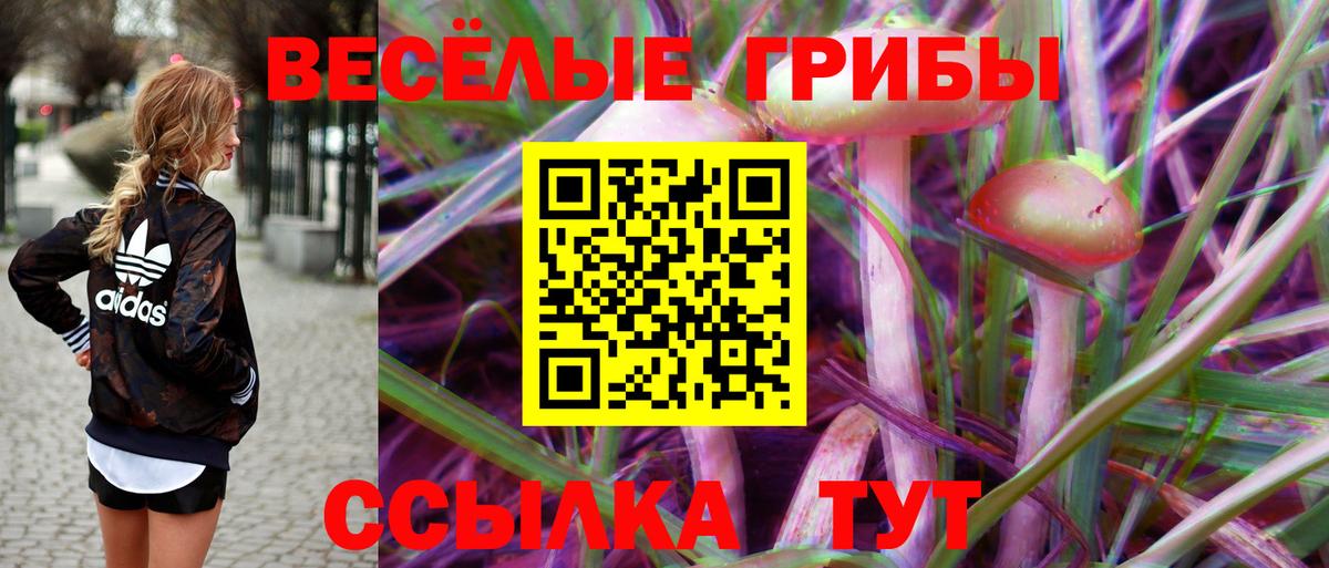 купить   Псилоцибиновые грибы мухоморы  Бутурлиновка  Вход с VPN  Галлюциногенные грибы Psilocybine cubensis 