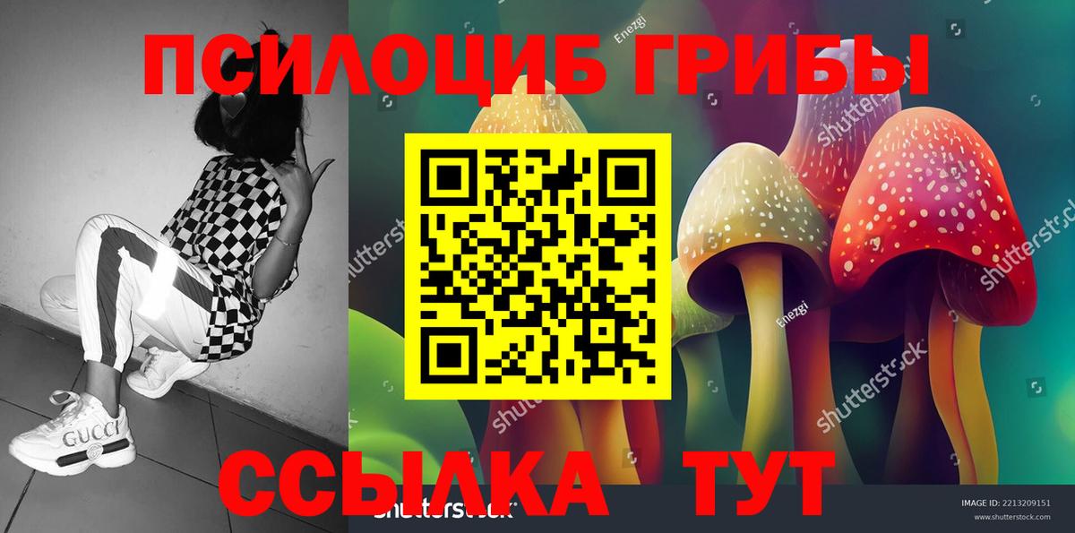 Галлюциногенные грибы Psilocybe  закладка  Псилоцибиновые грибы ЛСД  Бутурлиновка 