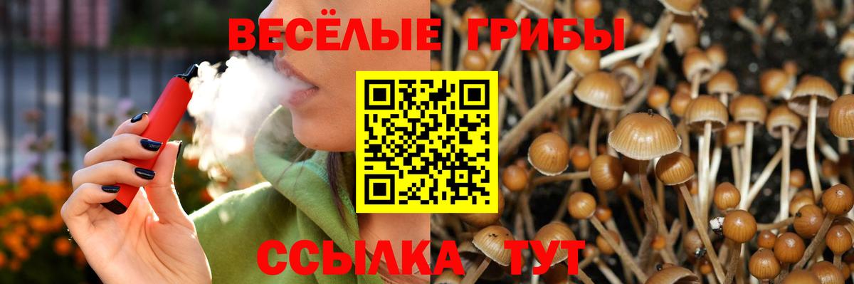 Псилоцибиновые грибы мицелий Бутурлиновка